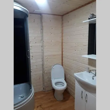 номер 6 у ані Apartamento Synevyrsʼka Polyana