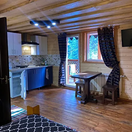 Apartmán номер 6 у ані Synevyrsʼka Polyana