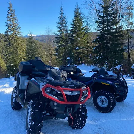 номер 6 у ані *