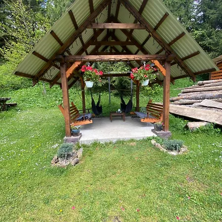 номер 6 у ані Apartamento Synevyrsʼka Polyana