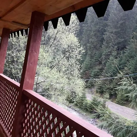 номер 6 у ані *