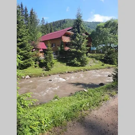 номер 6 у ані * Synevyrsʼka Polyana